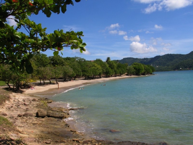  在马提尼克岛潜水 